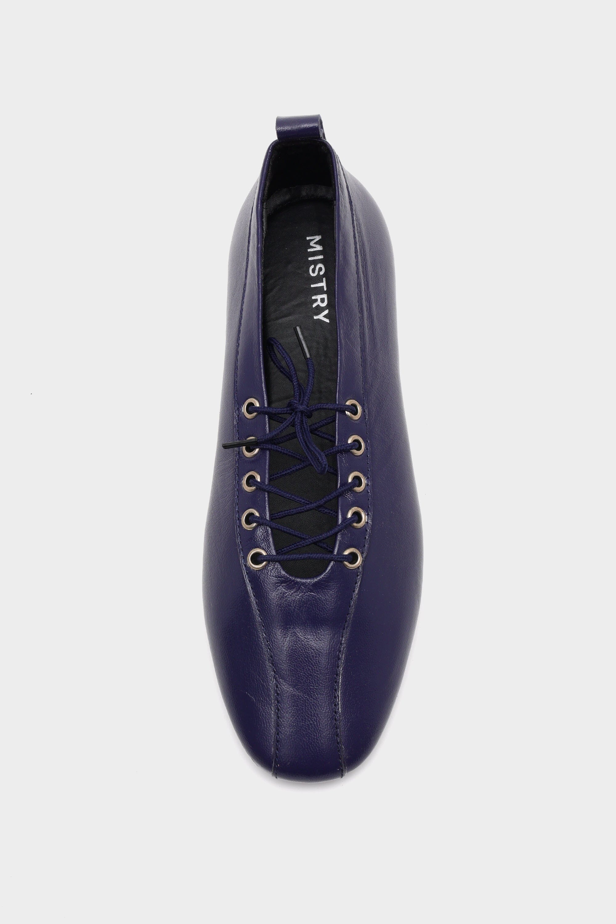 Lace-Up Ballerinas In Indigo